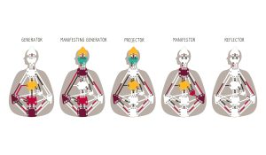 Human Design testtérkép  mini elemzés