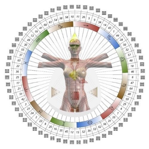 Biologika konzultáció és Human Design elemzés